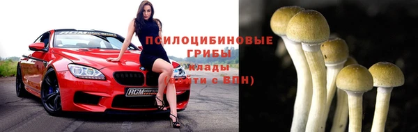 хмурый Бронницы