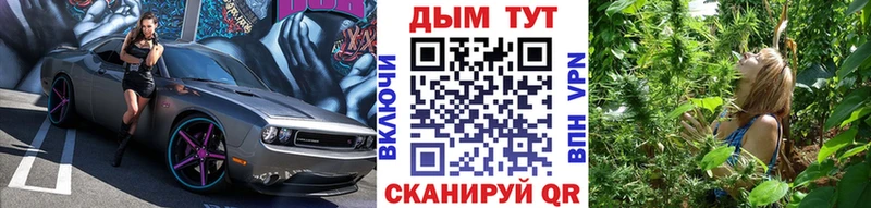 Каннабис Bruce Banner Купить Гаврилов-Ям
